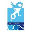 logo_ccn_castiglioncello